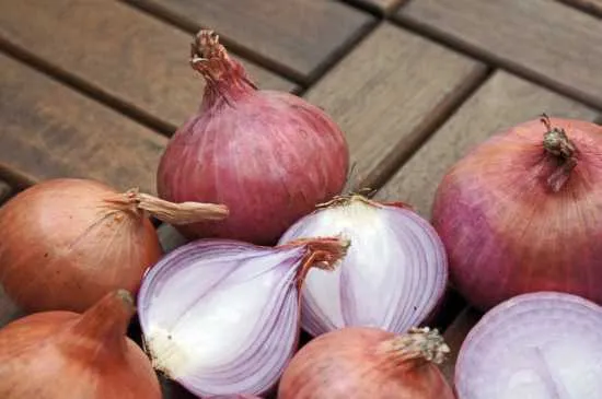 hechizo con cebolla