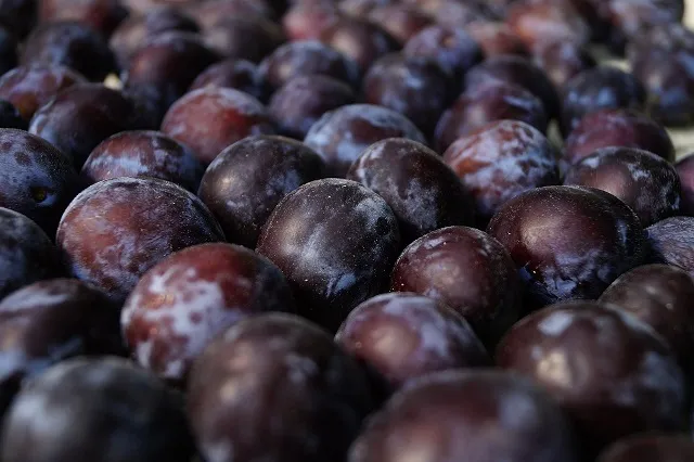 Propiedades nutricionales de la ciruela pasa