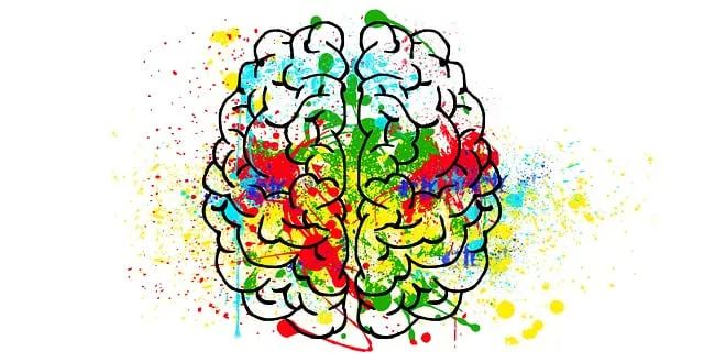 Cuando se enamora tu cerebro