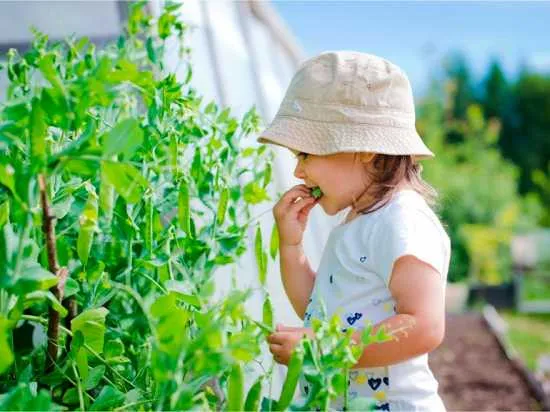 Intoxicación por plantas niños