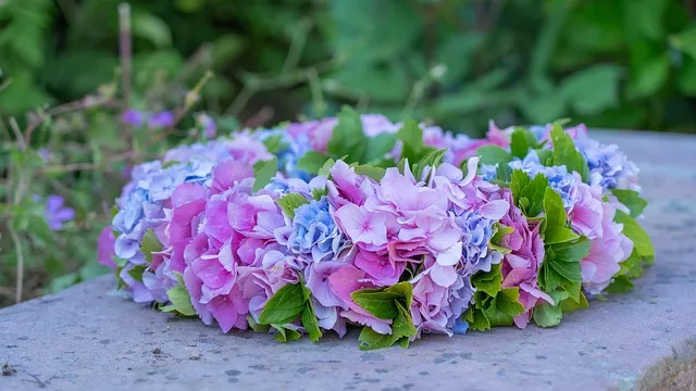 El lenguaje de las flores
