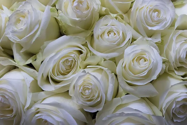 Baño floral de amor propio - rosa blanca