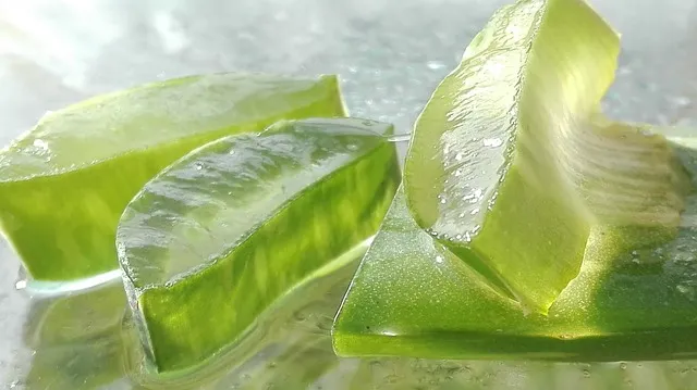 Remedios caseros con aloe vera