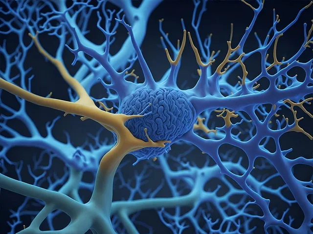 Comunicación neuronal y el bienestar del sistema nervioso central