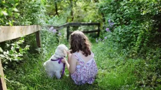 plantas peligrosas y tóxicas para niños y mascotas