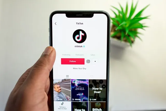 El atractivo de TikTok
